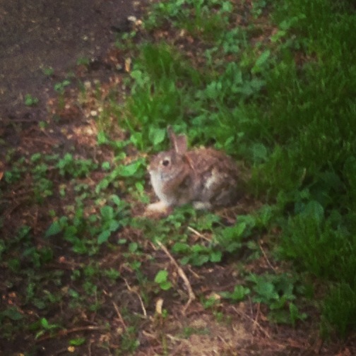 2014-05-2620.06.38-2